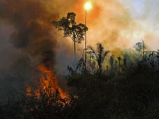 Incendios en el Amazonas son los peores de la década