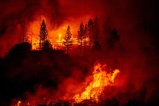 Incendios forestales mantienen sus afectaciones en California