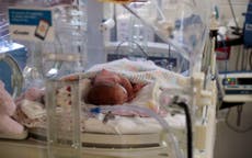 Cientos de incidentes de maternidad en un año generan mil 500 instrucciones de seguridad para hospitales