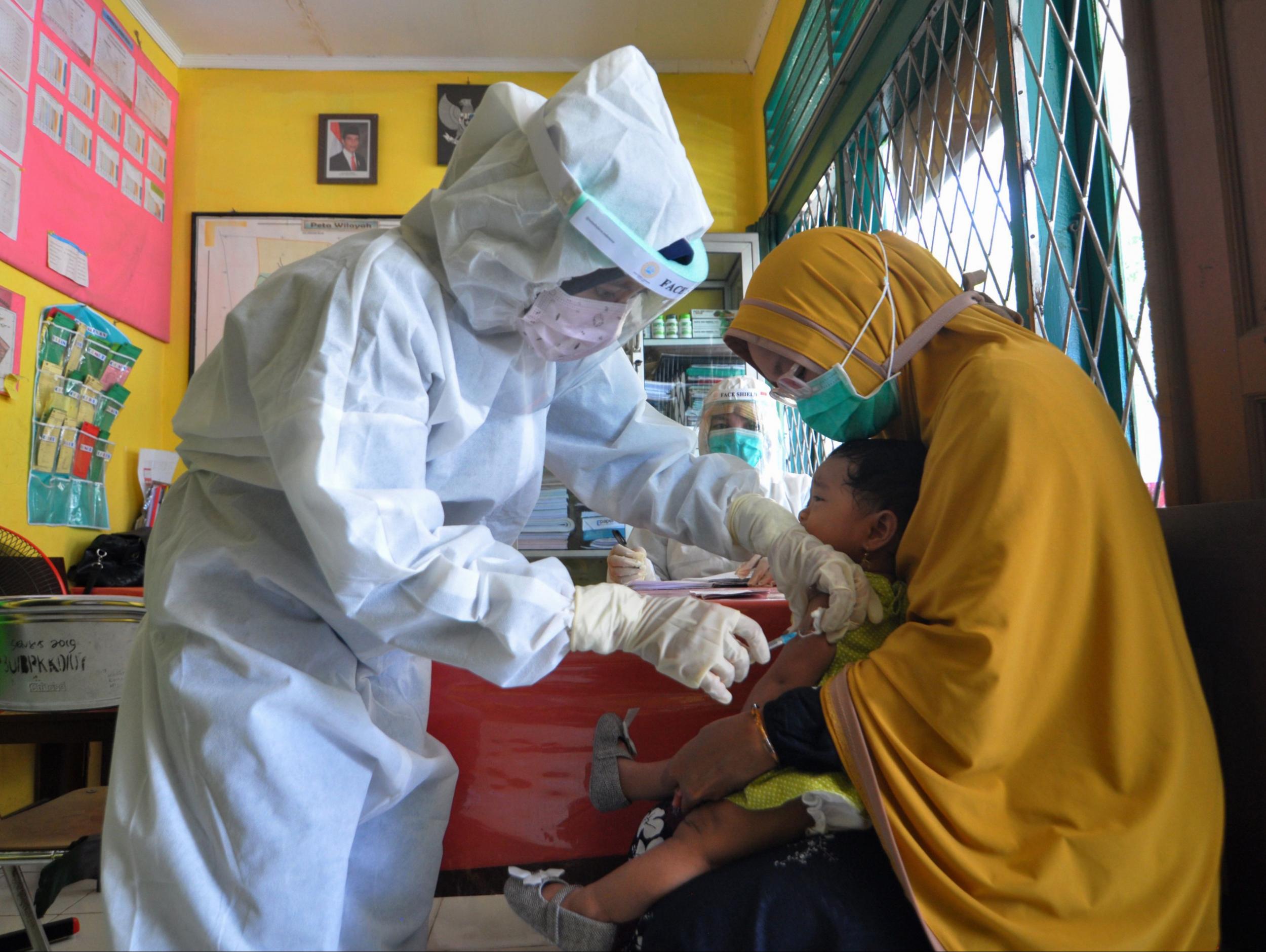 Descubren que el virus del sarampión causa “amnesia” en el sistema inmunitario